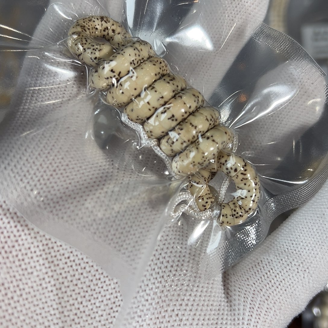 星月菩提吊坠6留白原白小肠长串微氧化，938