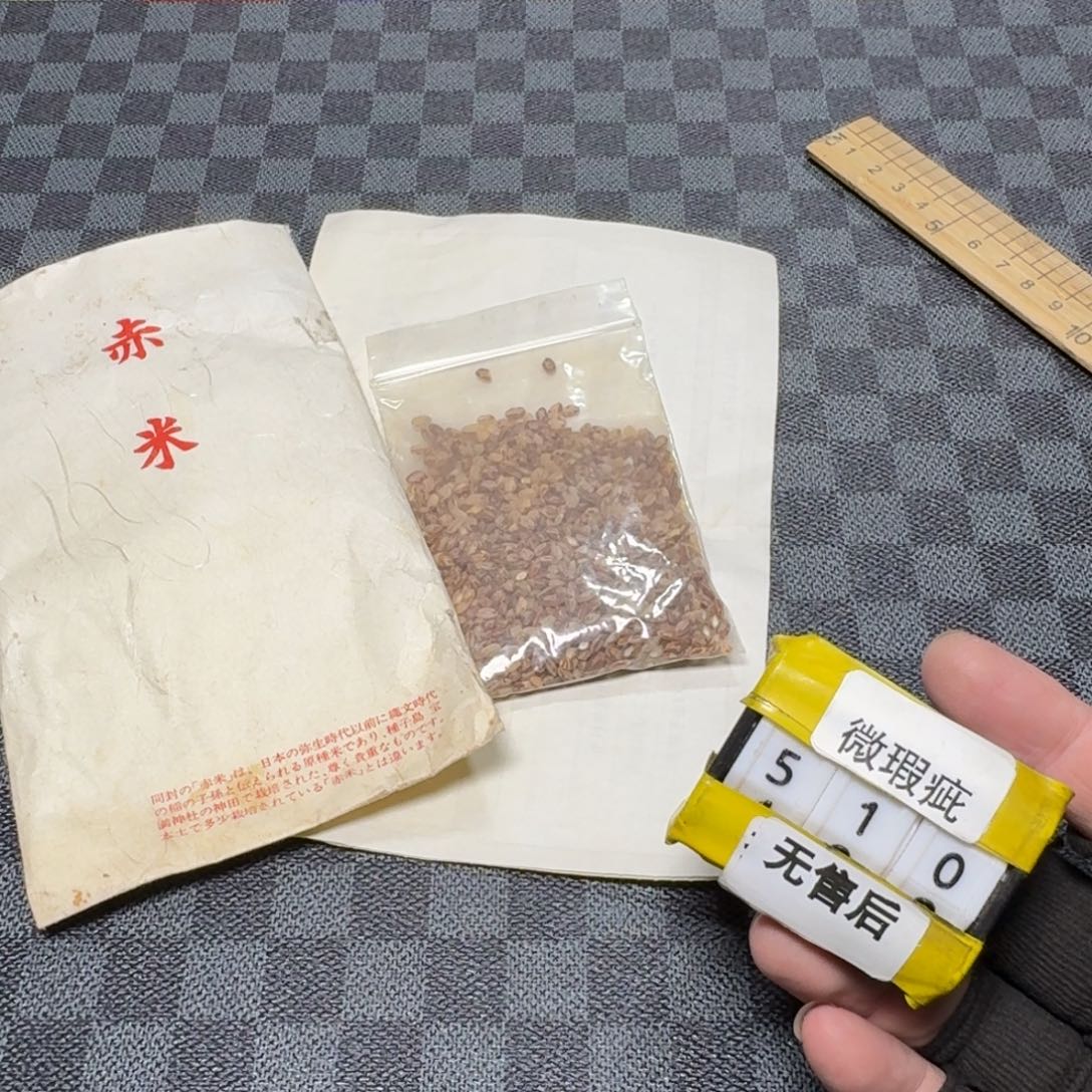 瓷片看好品相在下单/无/售/后