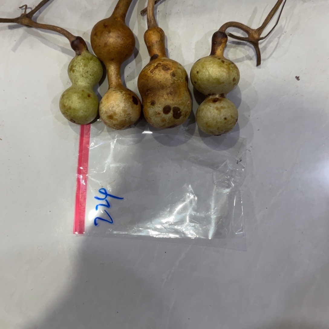 往***化葫芦v干活GVv刚刚尴尴尬尬哈哈给GVv