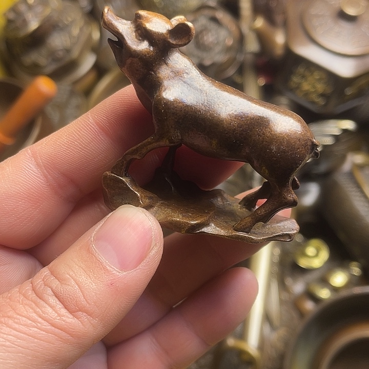 健健康康快快乐乐