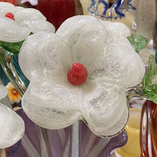 琉璃夜光花高45厘米