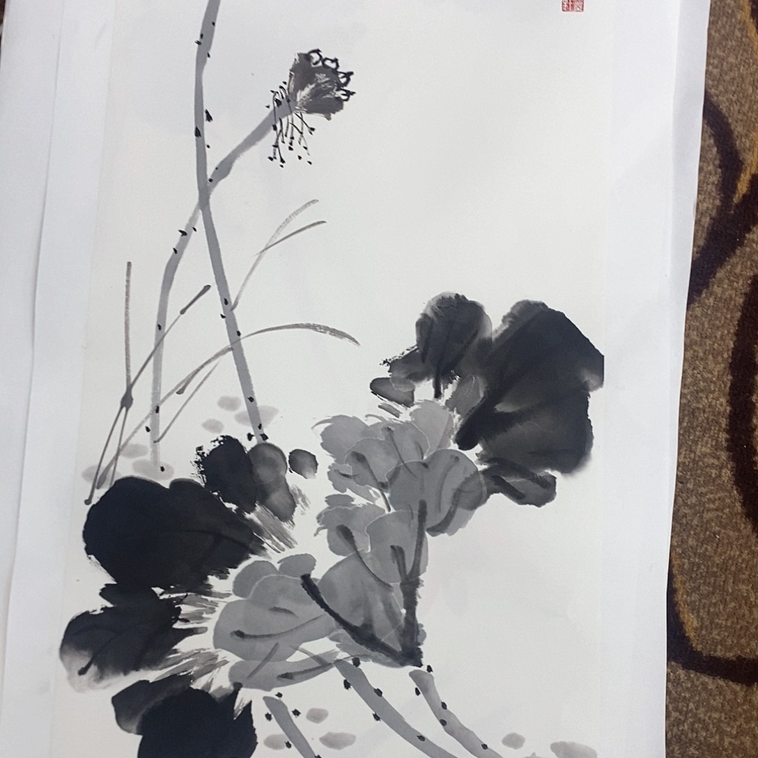 国画666666666666花鸟