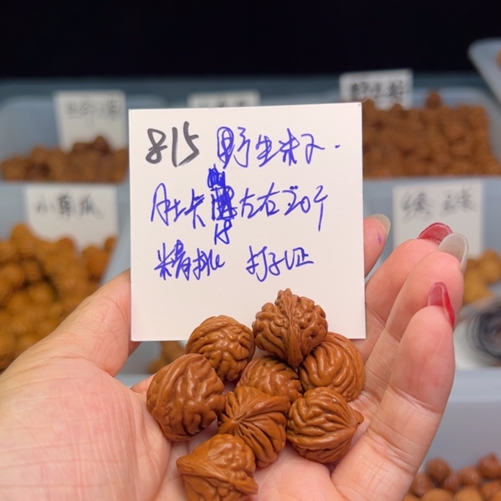 桃核把件野生籽18尺寸