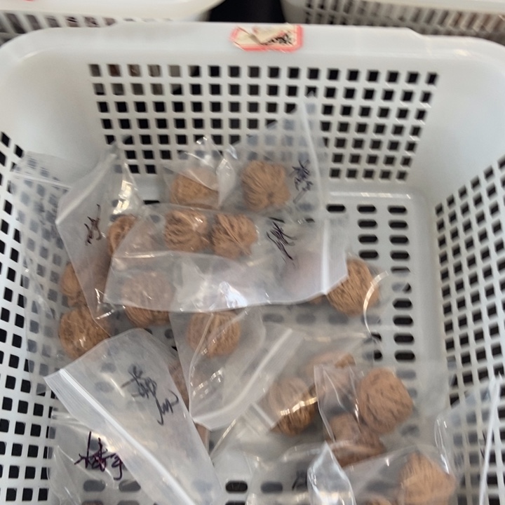 吊坠文玩核桃楼手