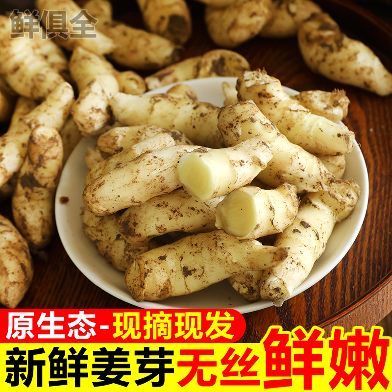 新鲜小嫩姜芽山东嫩姜生姜嫩芽子姜仔姜全芽头可做糖醋姜泡姜