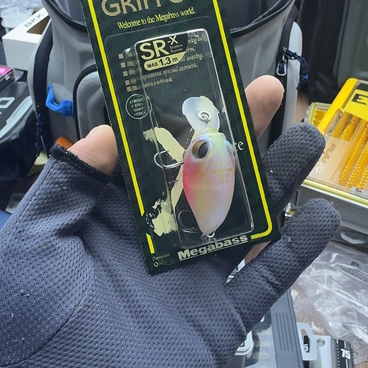 闪购专拍（图片为主）