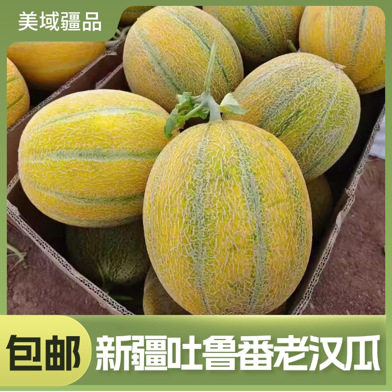 [全国包邮]正宗新疆老汉瓜4-10斤整箱装吐鲁番哈密瓜产地直发