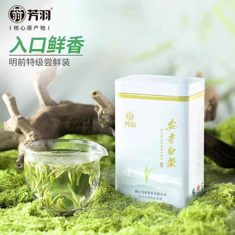 芳羽正宗安吉白茶 明前特级25g罐装2025年新茶 官方正品