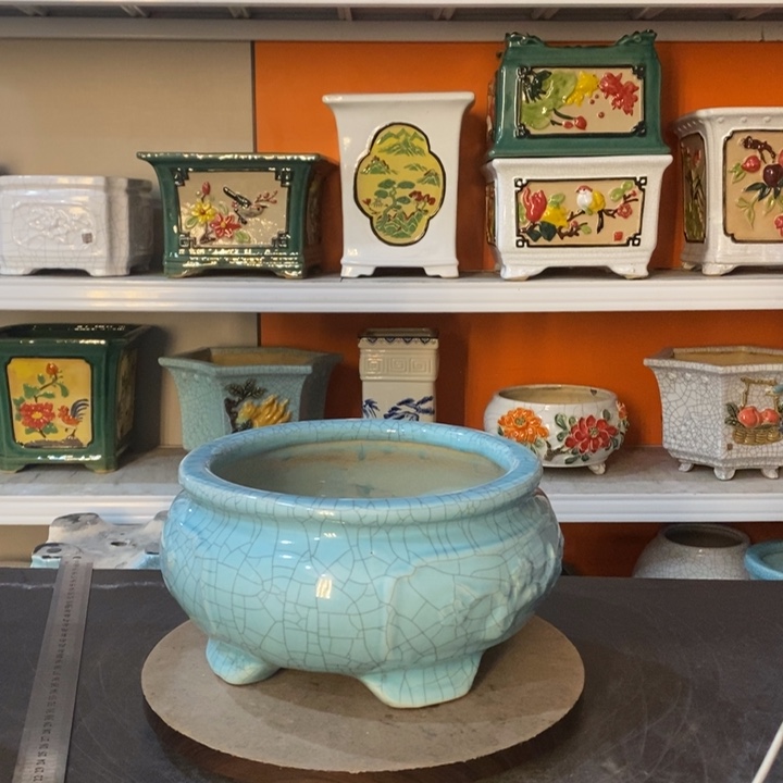 红陶斌*花盆里放了几个