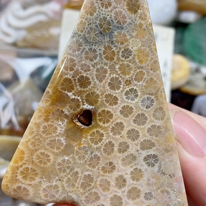 硅化珊瑚（珊瑚玉）未镶嵌颈饰