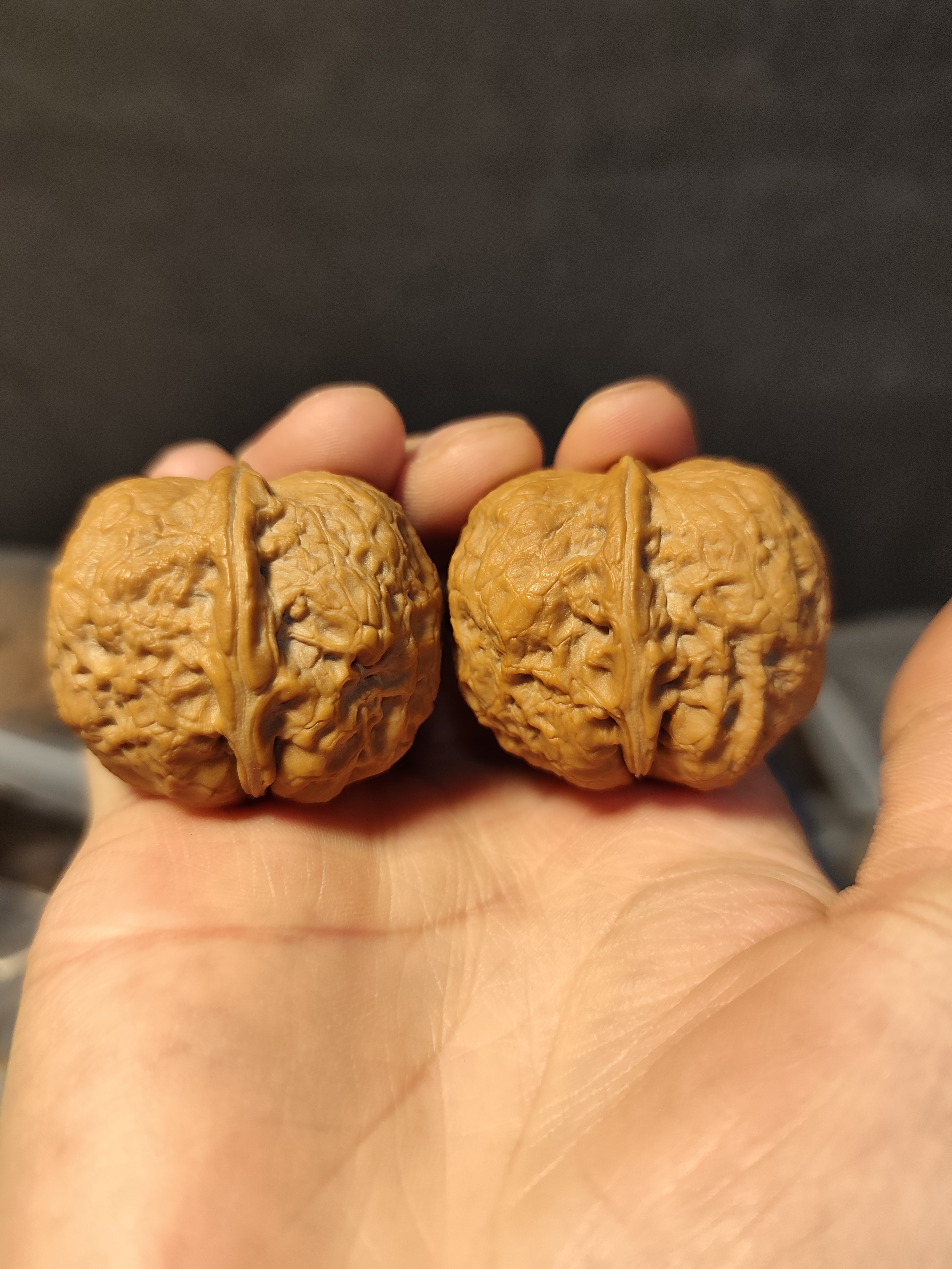 034号40云南铁核桃至尊元宝带阴皮虚尖微磕一物一拍