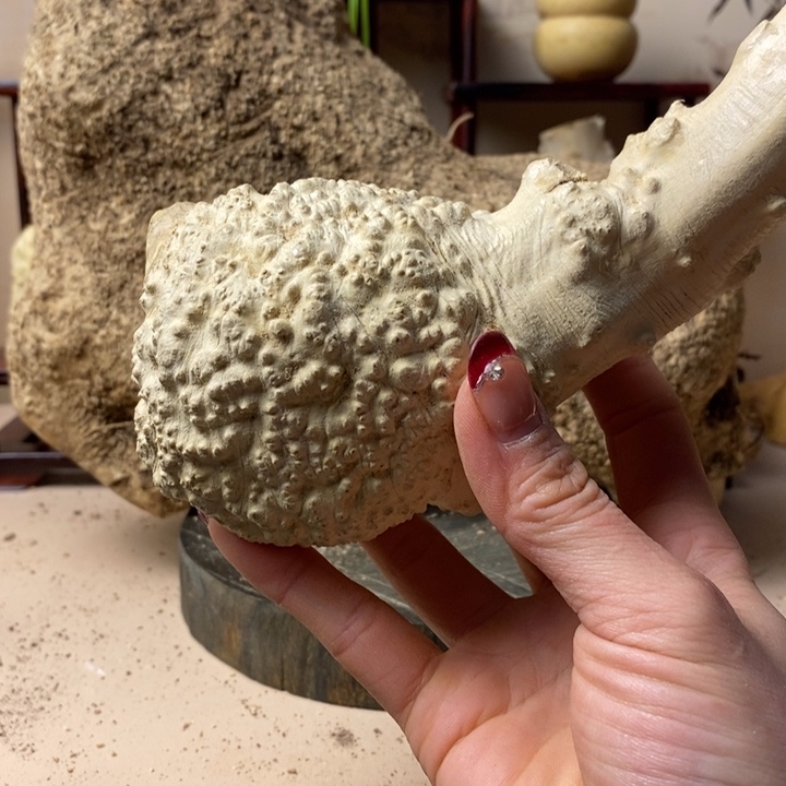 香榧木用****2黄杨木手把件