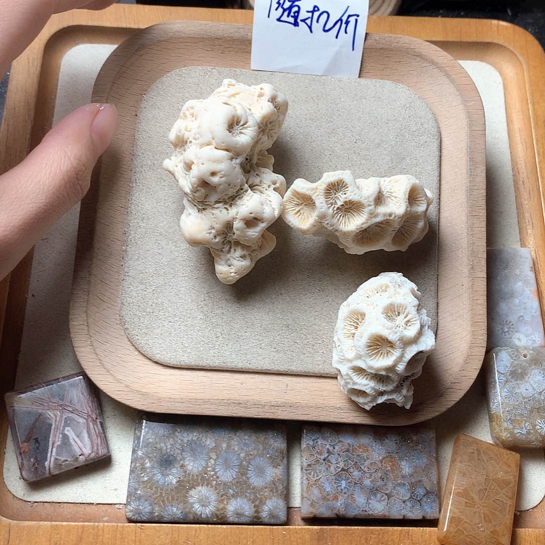 石英质玉颈饰未镶嵌小*螺
