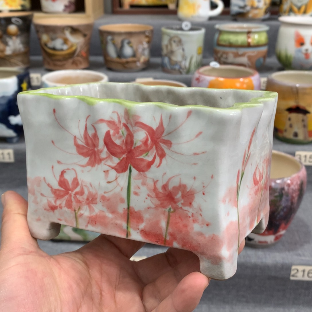 罐精品手绘福利特惠款