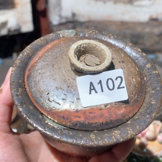 瑕疵瑕疵瑕疵瑕疵