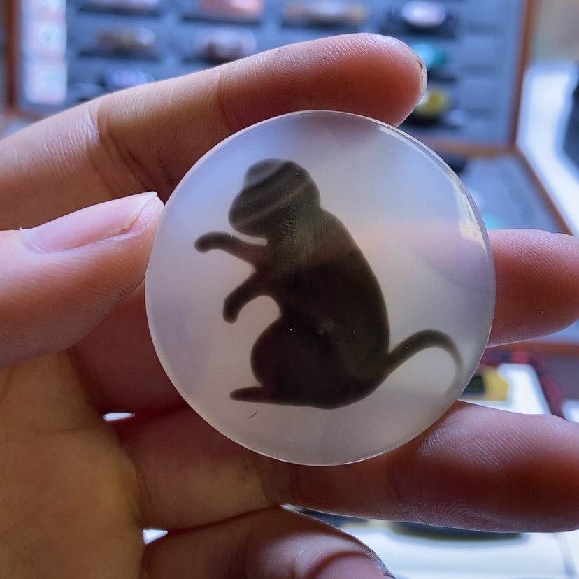 【闪购商品】玛瑙/玉髓颈饰未镶嵌?****?