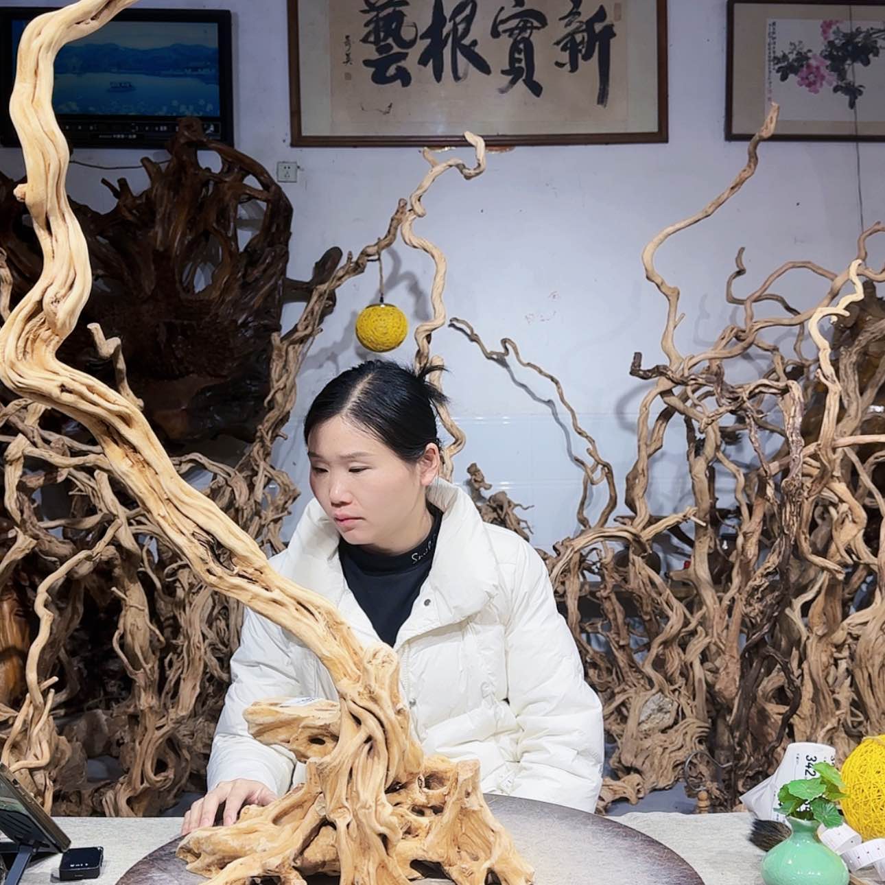 【闪购商品】核桃木/黑胡桃（胡桃木）m****…