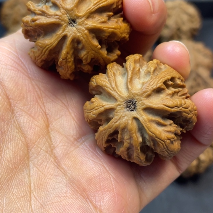 文玩核桃吊坠突突突突突突突突突