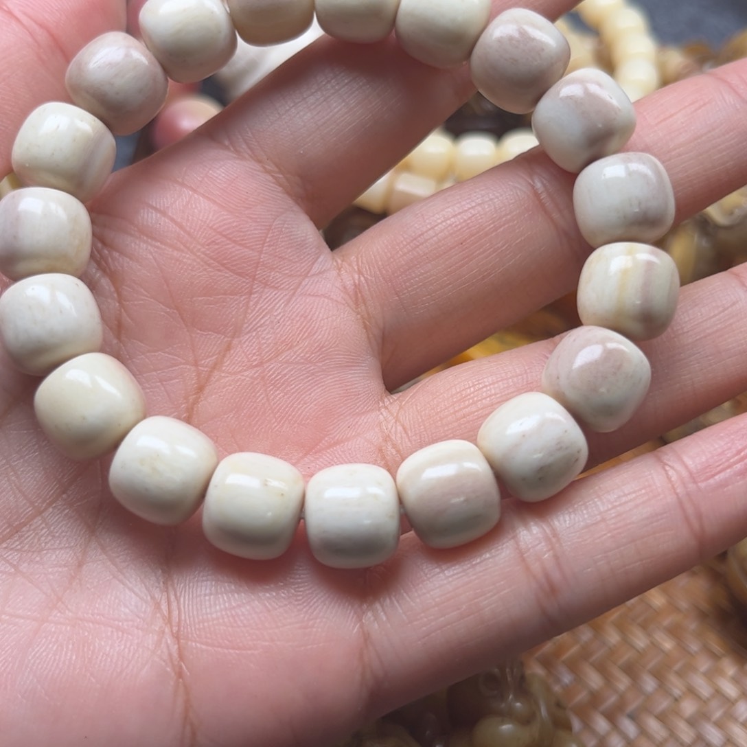 其他鹿骨滟**默人工养殖驼骨27