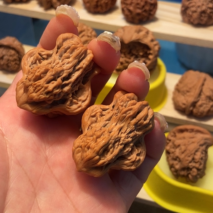 官方网站发布消息显示