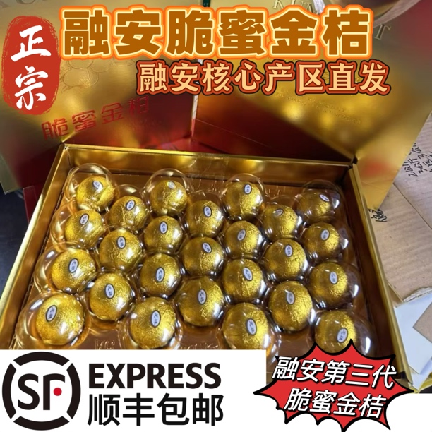 金豆豆巧克力包高端融安金桔第三代脆蜜金柑金桔特产新鲜脆甜