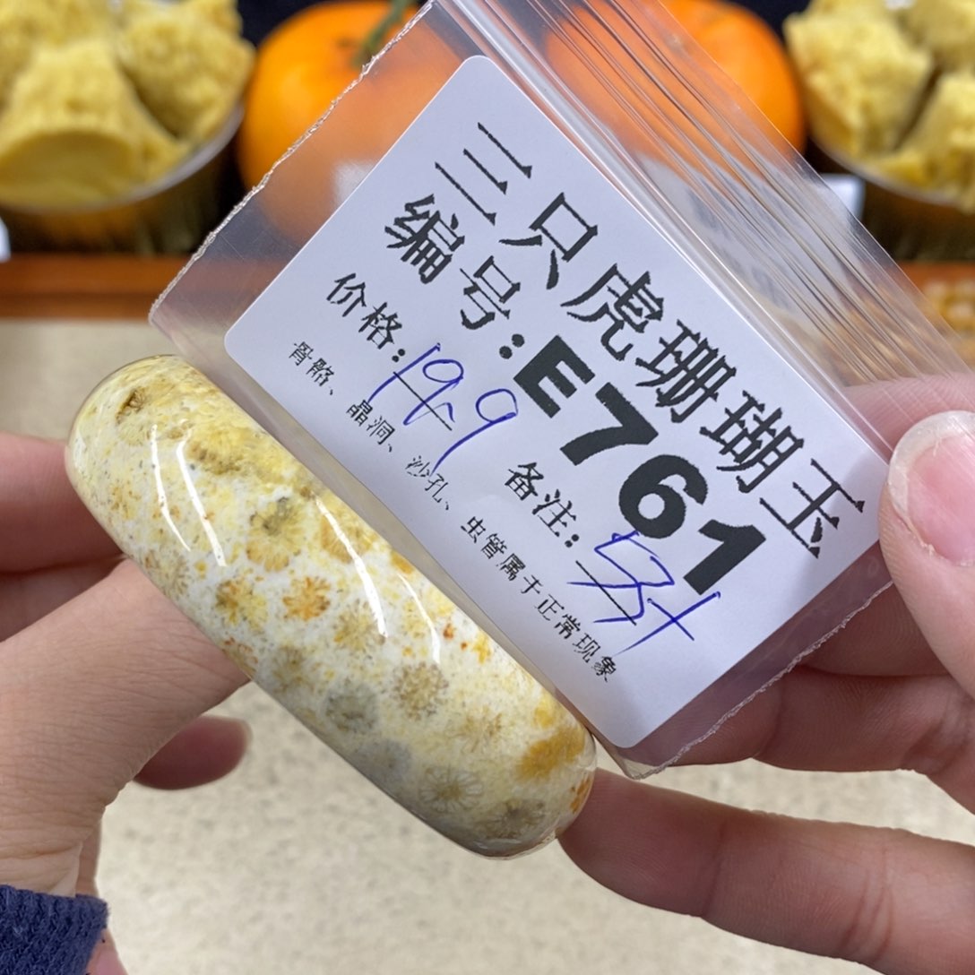 硅化珊瑚（珊瑚玉）1未镶嵌?****