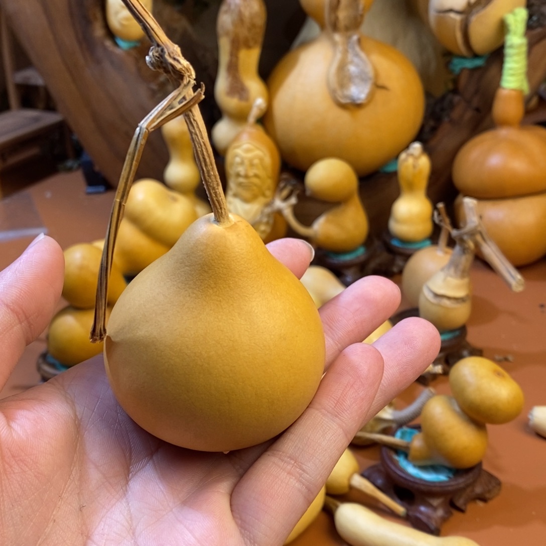 锦***常教练教练教练教练啦