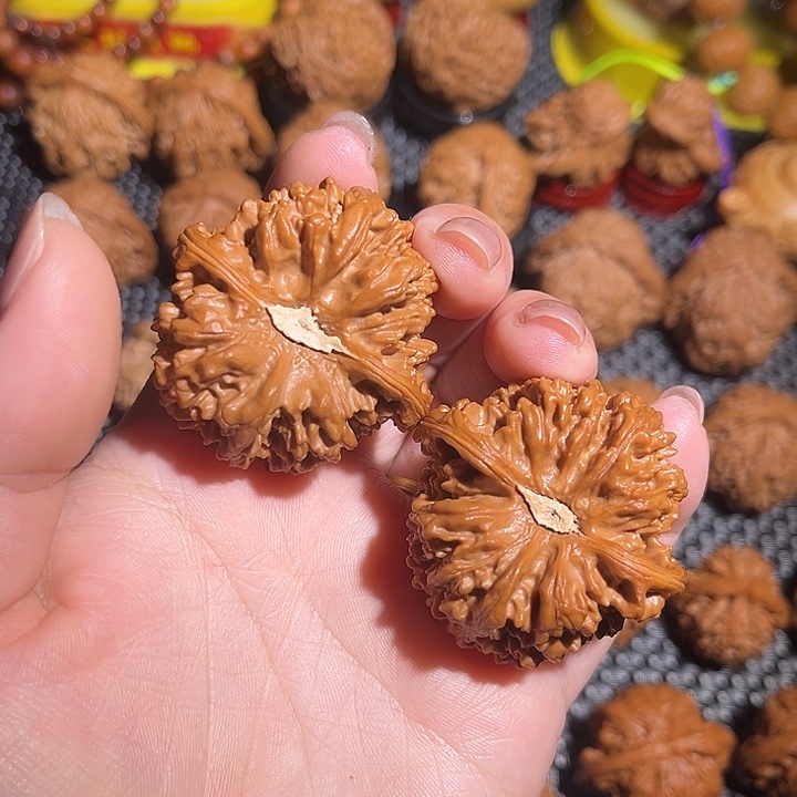 清***和满天星打好底微修43