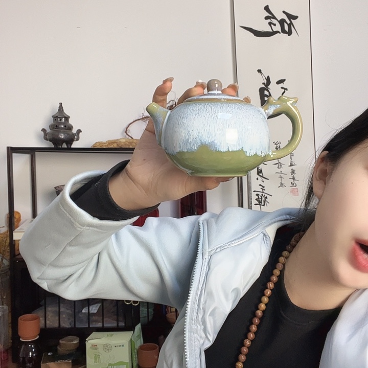 泗水砭石西施壶精品