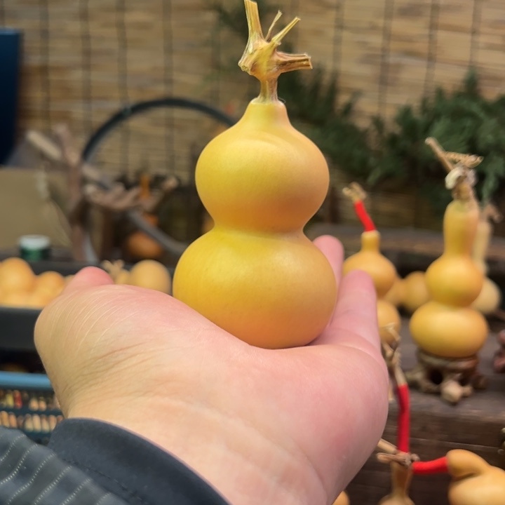 合**赢拍品葫芦不退不换