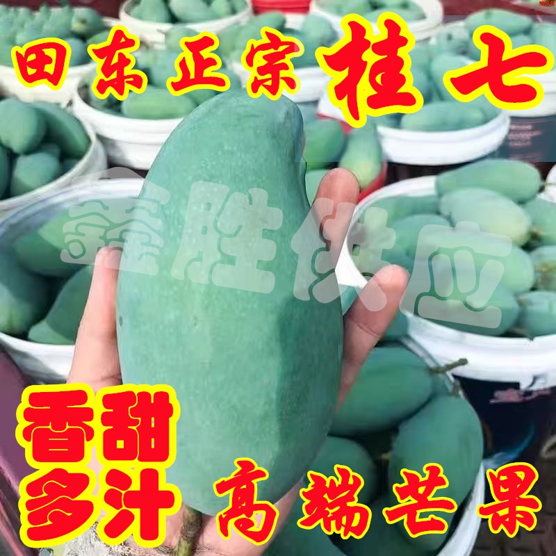 L正宗广西田东桂七芒软糯香甜新鲜应季芒果整箱批发