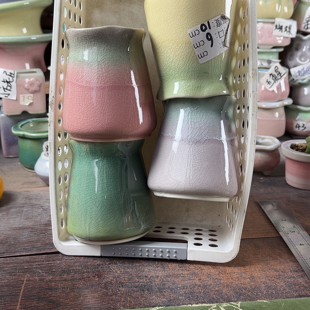 量货/口6高10深浅搭配发4