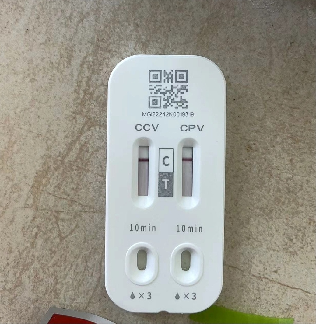 检测试纸宠物狗通用