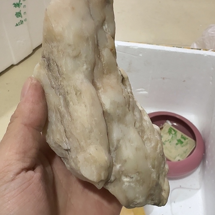 林***步扇子个又一个哥哥哥哥恍恍惚惚好