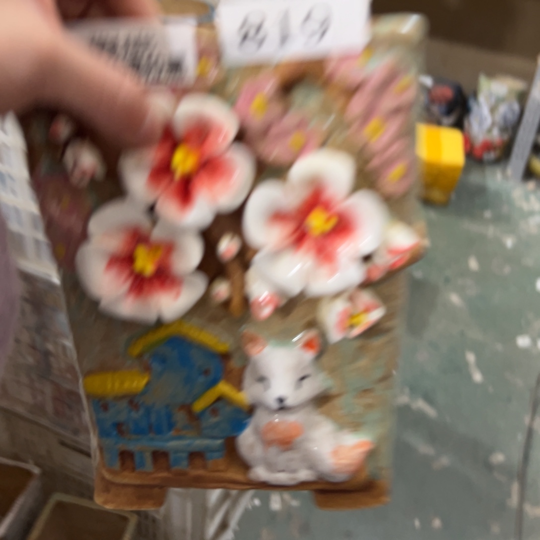 瑕疵多肉花盆满20发爱退拉黑