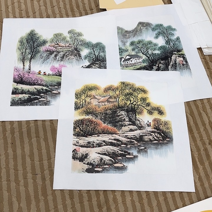 国画阅**生花鸟的羽毛和花朵3幅