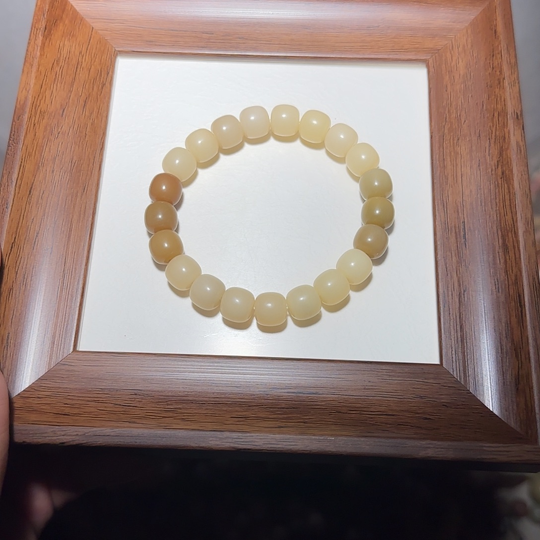 吊坠菩提根/象牙果