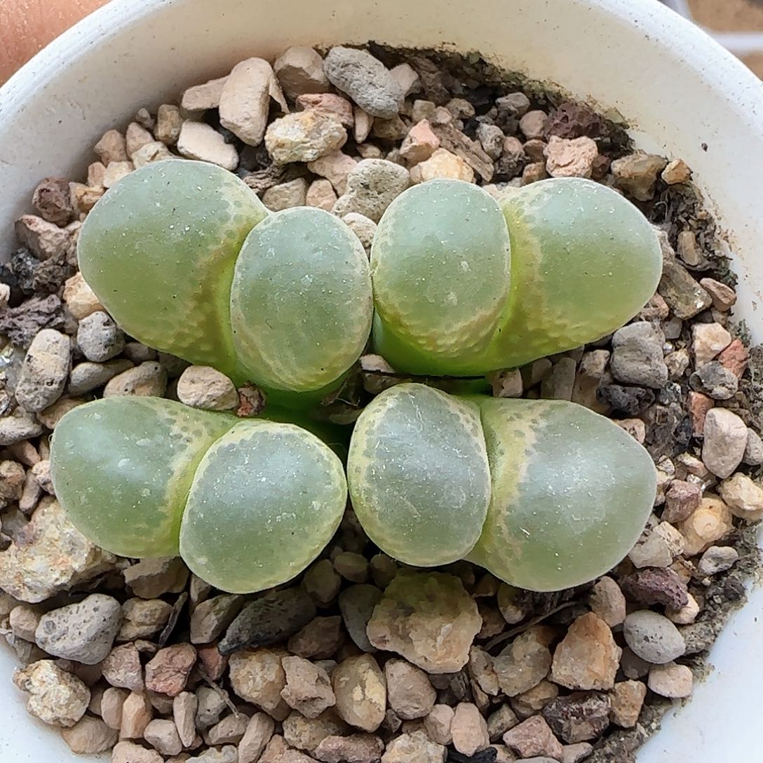 各位小主下午吉祥47624