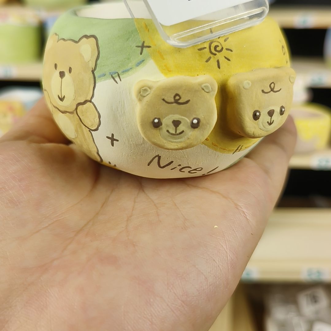 ****917小熊涂鸦风多肉盆