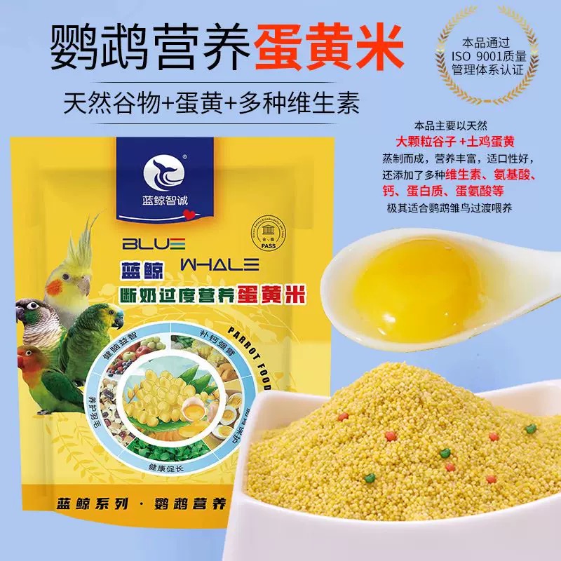 蓝鲸断奶营养过度蛋黄米鸟食