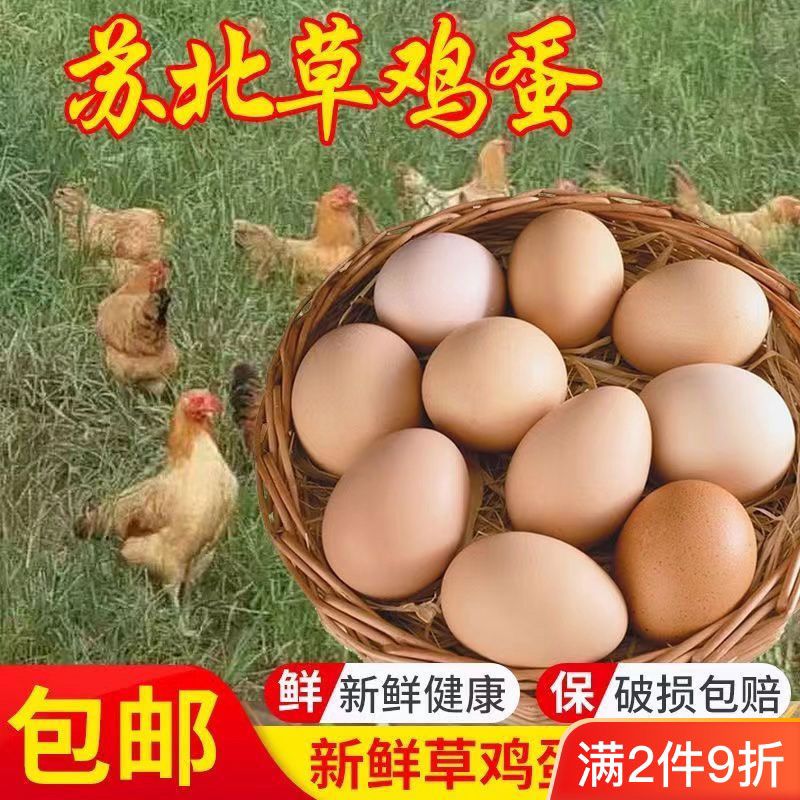 【顺丰包邮】苏北草鸡蛋30个一盒