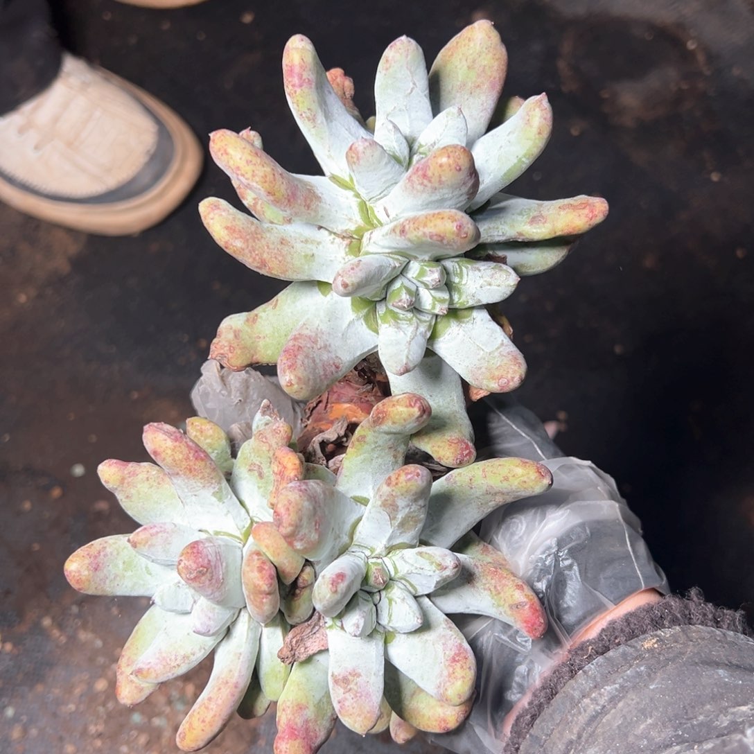 7114哈哈哈哈哈哈哈