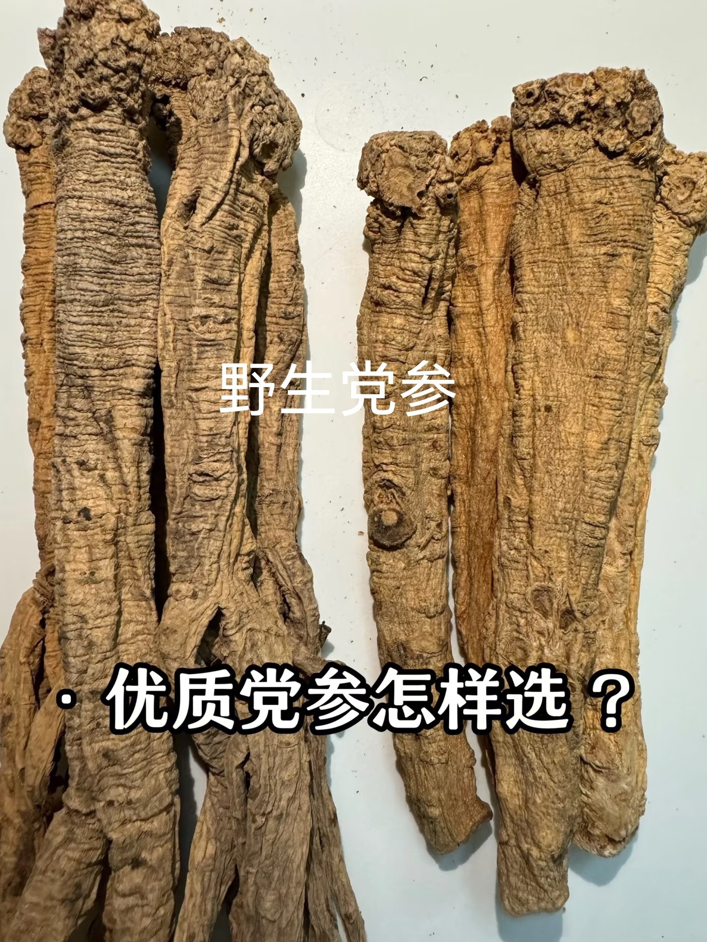 岷县深山野生特大条老党参(无硫磺无添加)