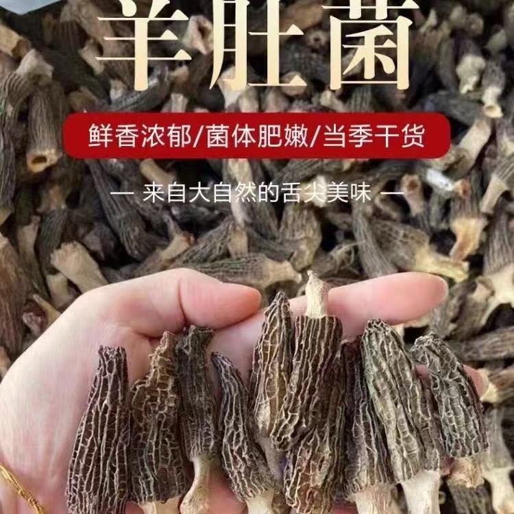 高山羊肚菌干货干度足煲汤食材头茬肉厚鲜美