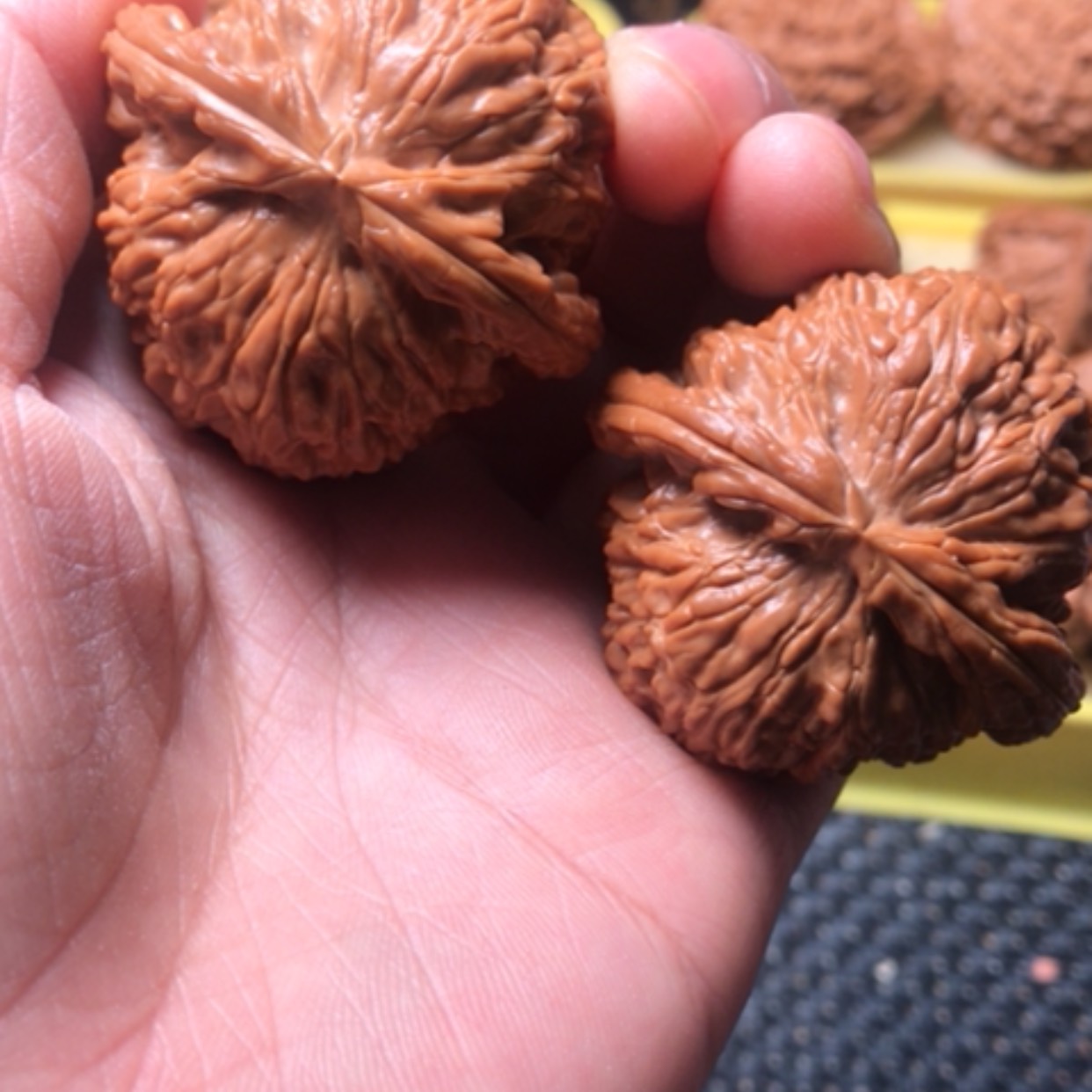【闪购商品】变*?白狮子尺寸42