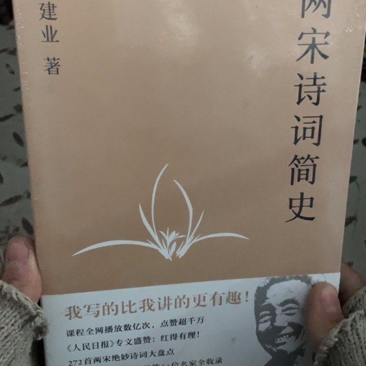 戴建业两宋诗词简史