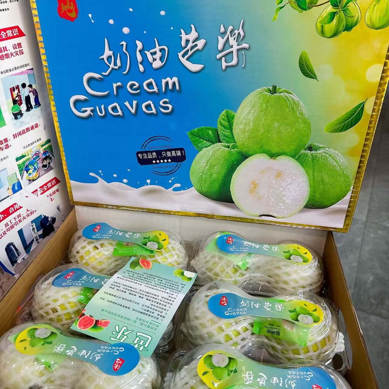 奶油芭乐礼盒 12枚果 毛重5.6斤左右