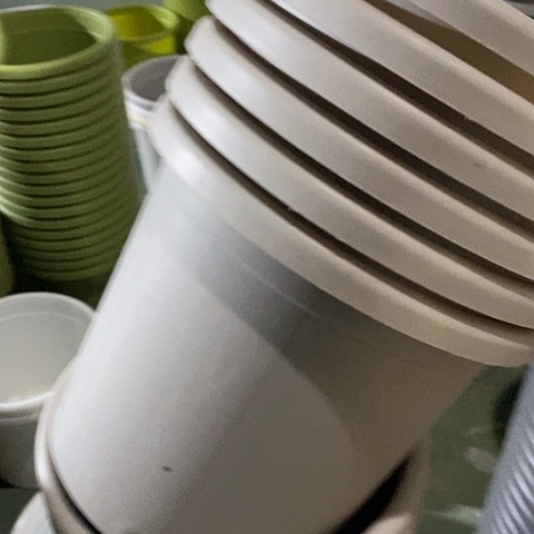 树脂四季4号灰白无托10个