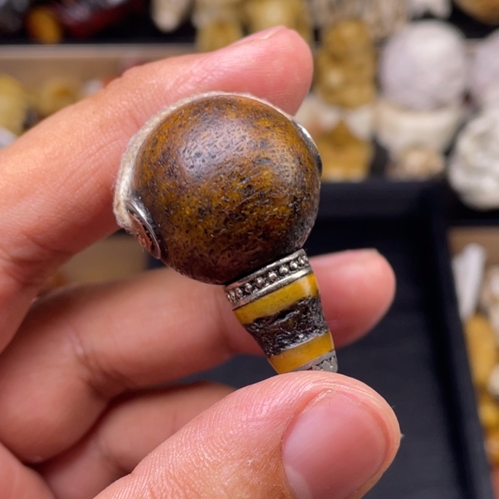 驼骨摆件人工养殖