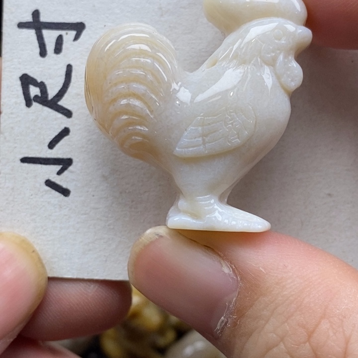 硅化珊瑚（珊瑚玉）未镶嵌颈饰